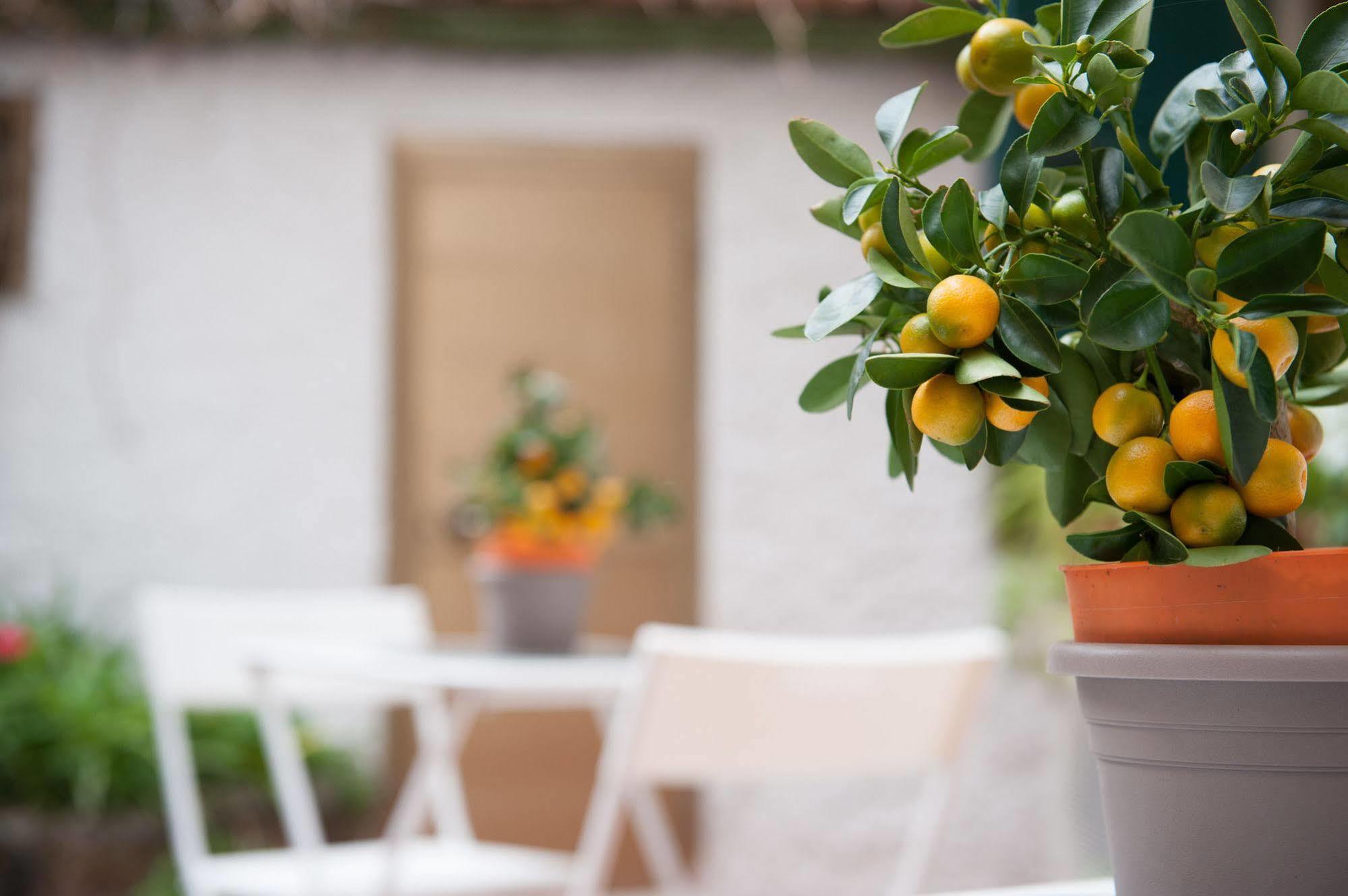Piccarda Bed And Breakfast Флоренция Екстериор снимка